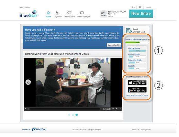 WellDoc BlueStar or WellDoc DiabetesManager System and DiabetesManager Rx System